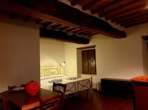 Artemisia Apartment Castiglione D'orcia